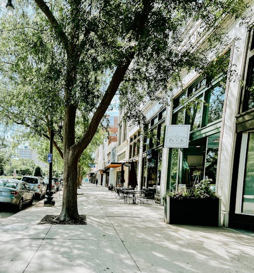 Free stock photo of beautiful background, broad street, downtown