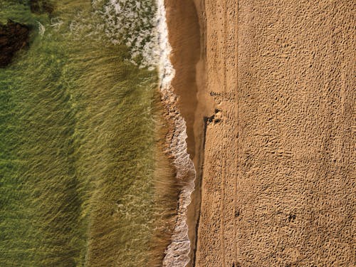 Bird's-eye View of Waves on Shore