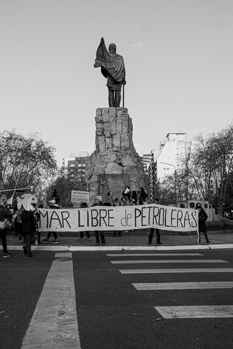 Mar Del Plata Activismo 