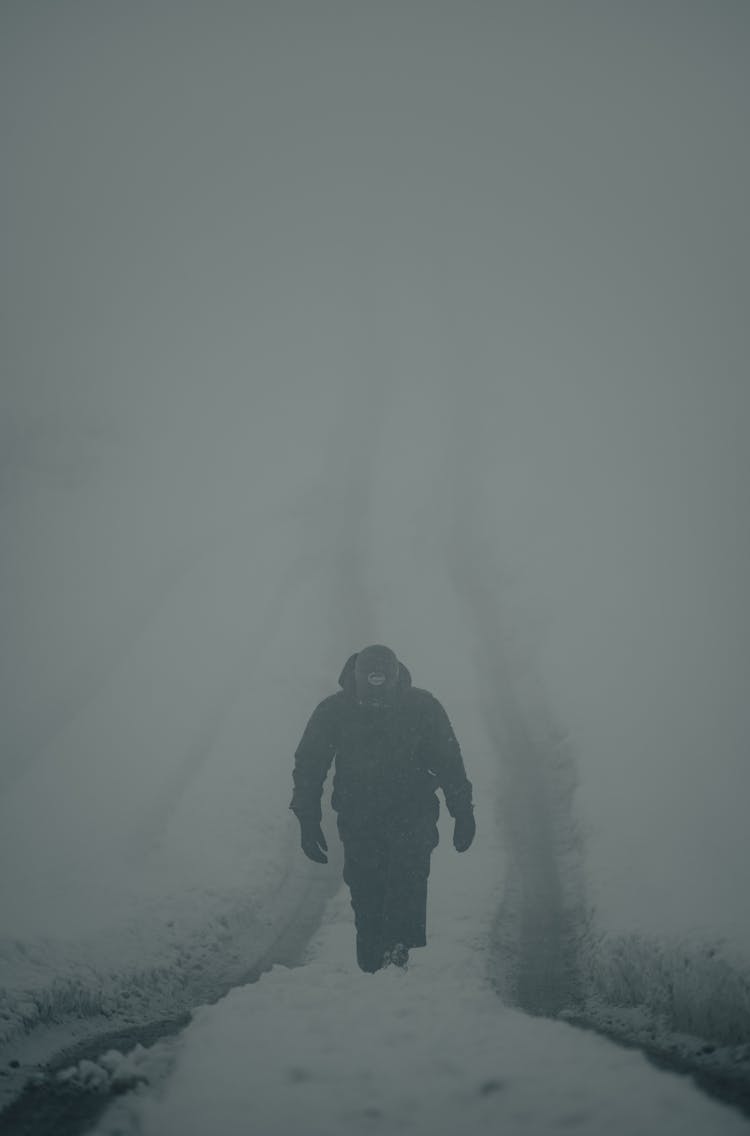 Person Walking In Snow And Fog