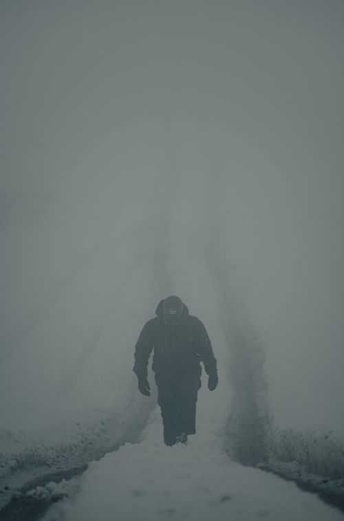 Free A solitary figure walks through dense fog and snow, creating a mysterious winter ambiance. Stock Photo