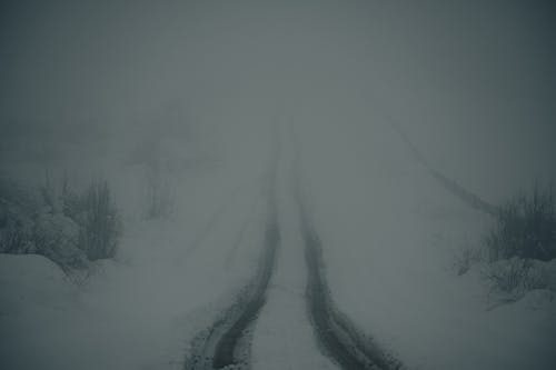 Základová fotografie zdarma na téma mlha, rýma, sníh