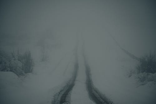 Immagine gratuita di coperto di neve, freddo, innevato