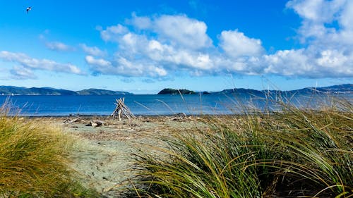 Free stock photo of art, beach, beach art