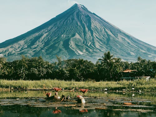 Δωρεάν στοκ φωτογραφιών με Mayon Volcano, mount mayon, αποθεματικό άγριων ζώων Φωτογραφία από στοκ φωτογραφιών
