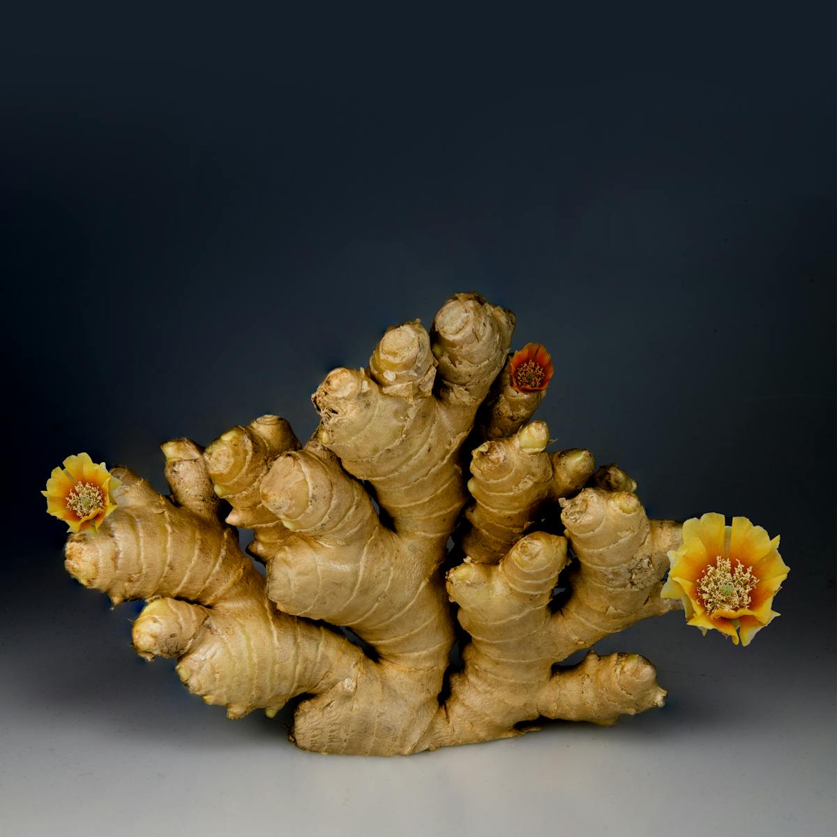 Ginger root with flowers