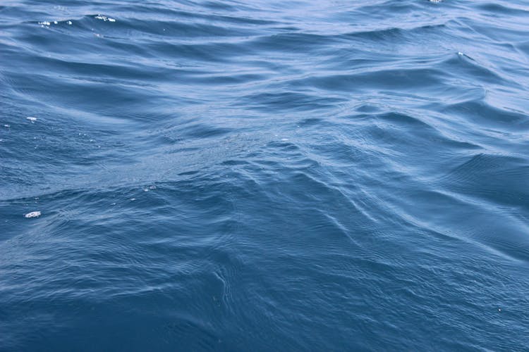 Waves On Water Surface