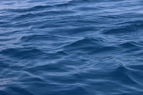水, 海, 海洋 的 免費圖庫相片