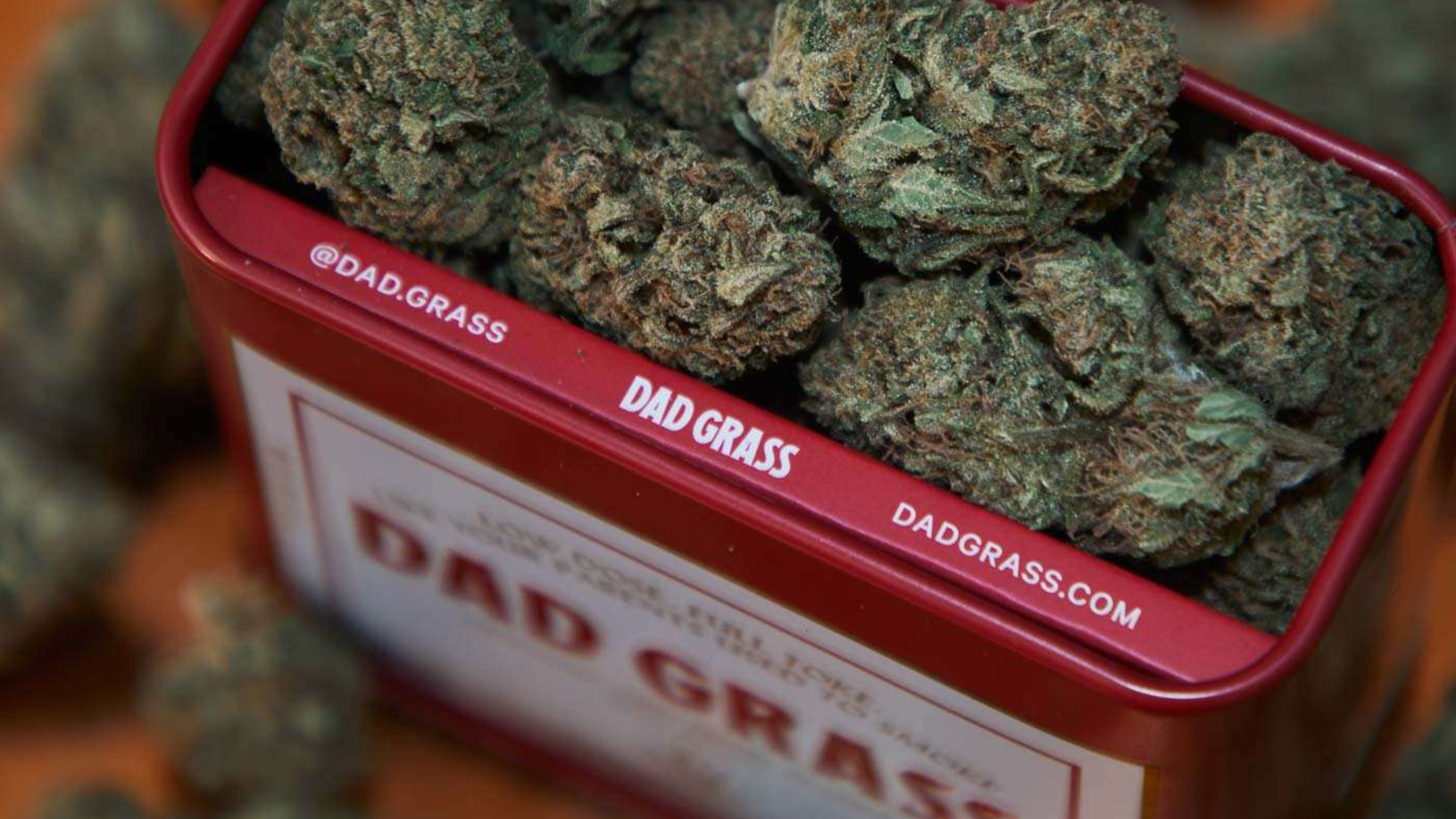 Close-up view of cannabis buds in a red metal box labeled 'Dad Grass.'