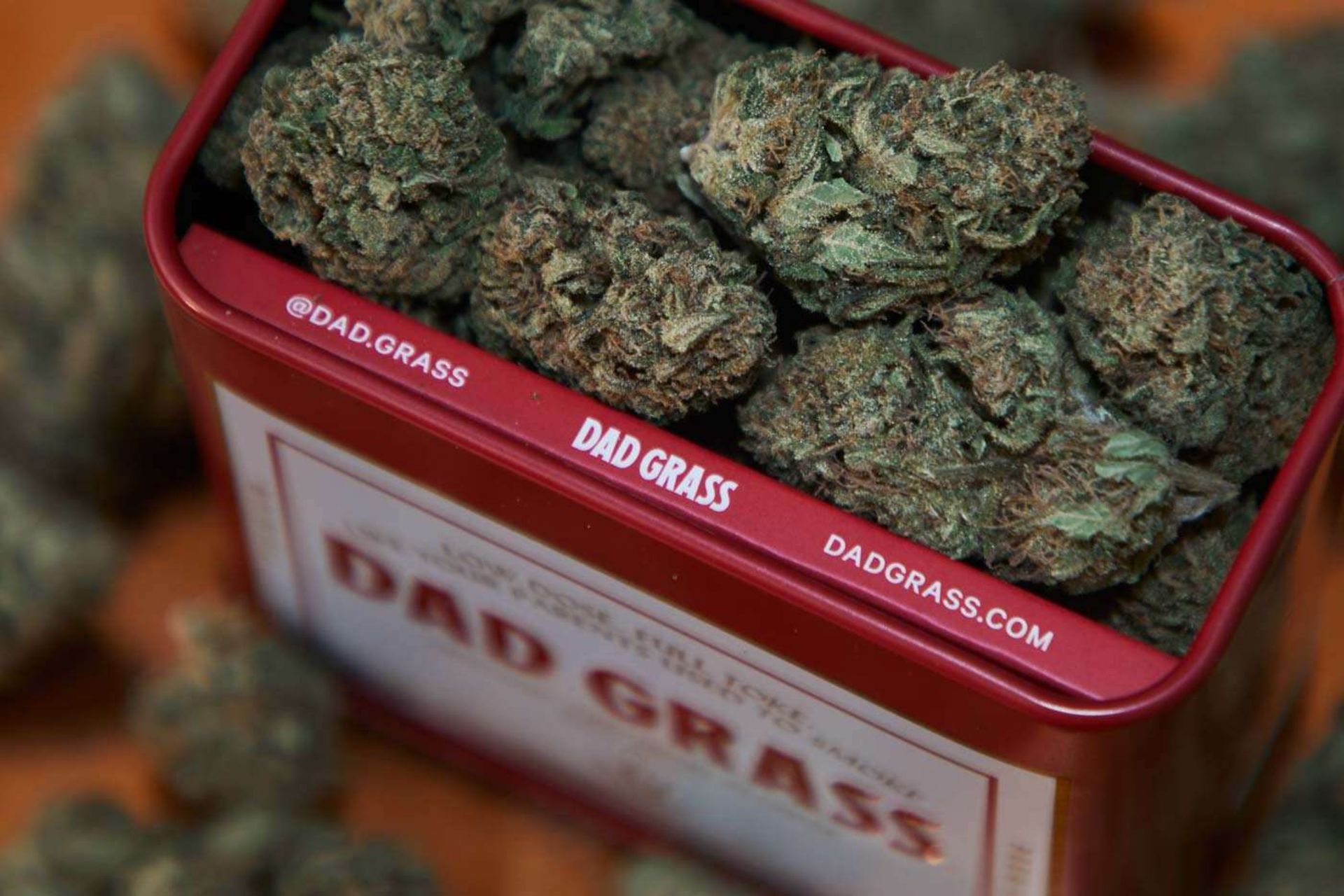 Close-up view of cannabis buds in a red metal box labeled 'Dad Grass.'