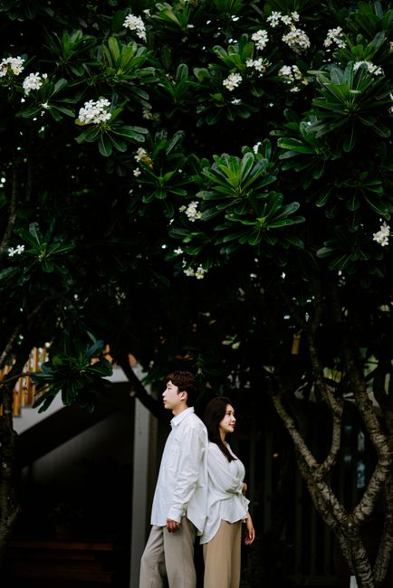 Asian couple standing back to back under white flowering trees in a serene outdoor setting.