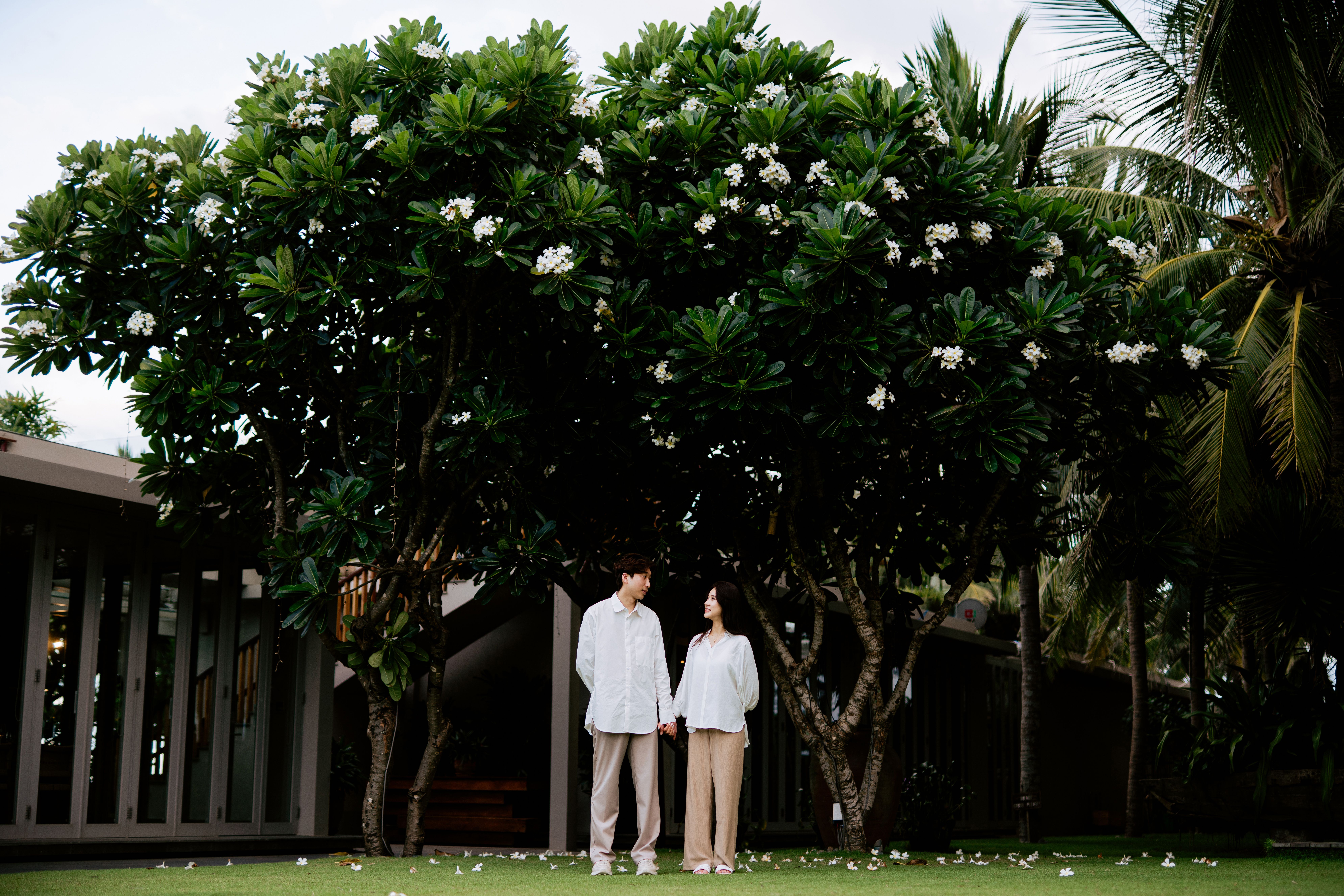 Romantic couple holding hands under lush trees in a tropical garden.
