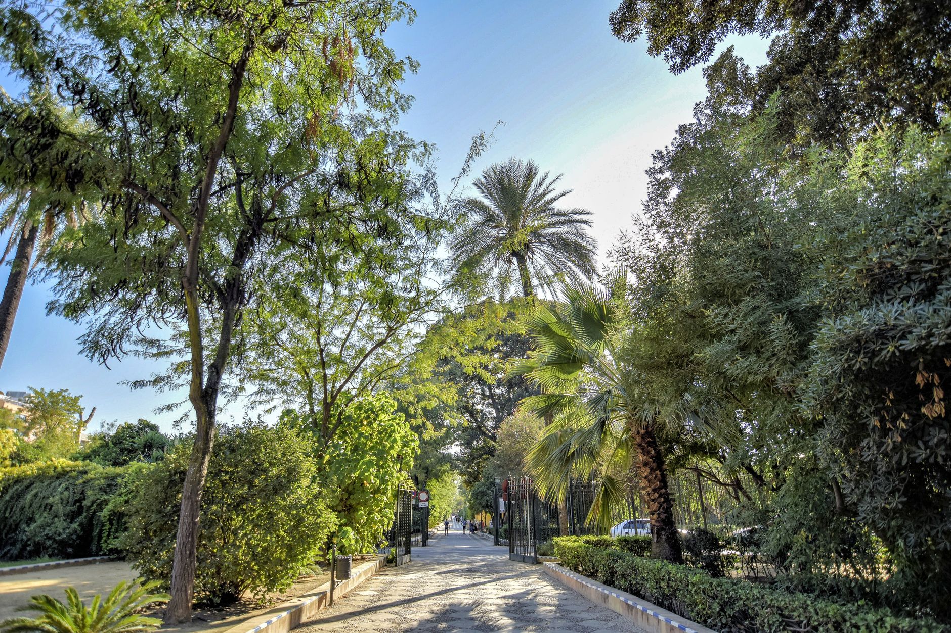 La Alameda de Hércules, en Sevilla