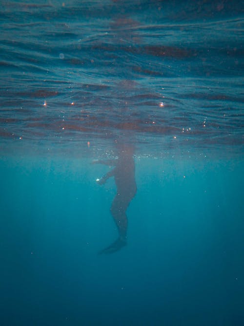 grátis Foto profissional grátis de embaixo da água, fotografia subaquática, grave Foto profissional