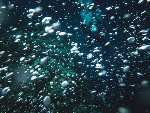 Fotos de stock gratuitas de bajo el agua, buceando, burbujas de aire