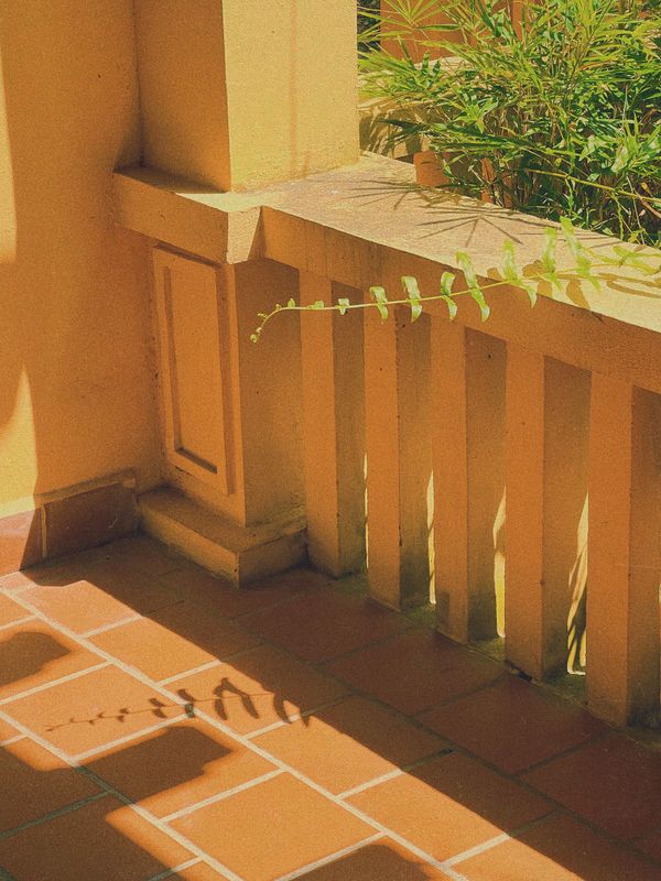 Leaf shadows across a sunlit terracotta terrace — photo by Jayce Q on Pexels