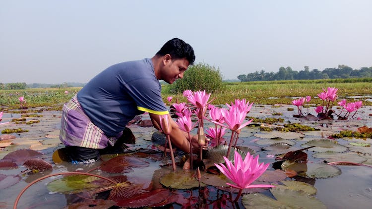 Man Working With Water Plants