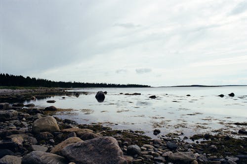 бесплатная Бесплатное стоковое фото с белое небо, вода, море Стоковое фото