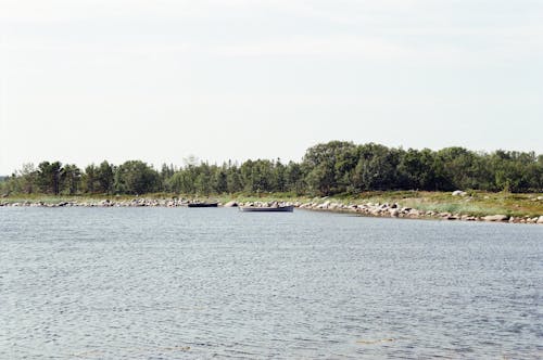 Fotobanka s bezplatnými fotkami na tému člny, jazero, lakeshore