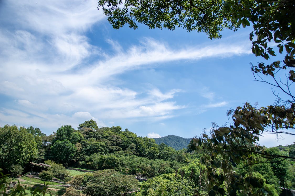 경치, 구름, 농촌의의 무료 스톡 사진