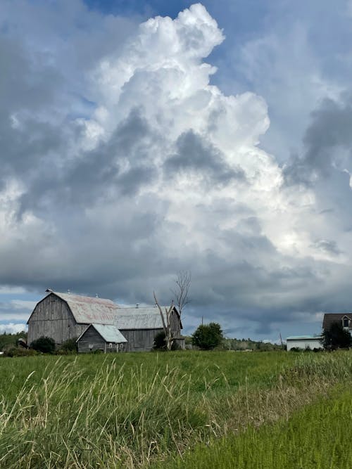 Free stock photo of barn, clouds, fields Stock Photo