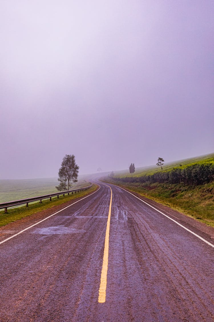 Road Through Countryside In Fog