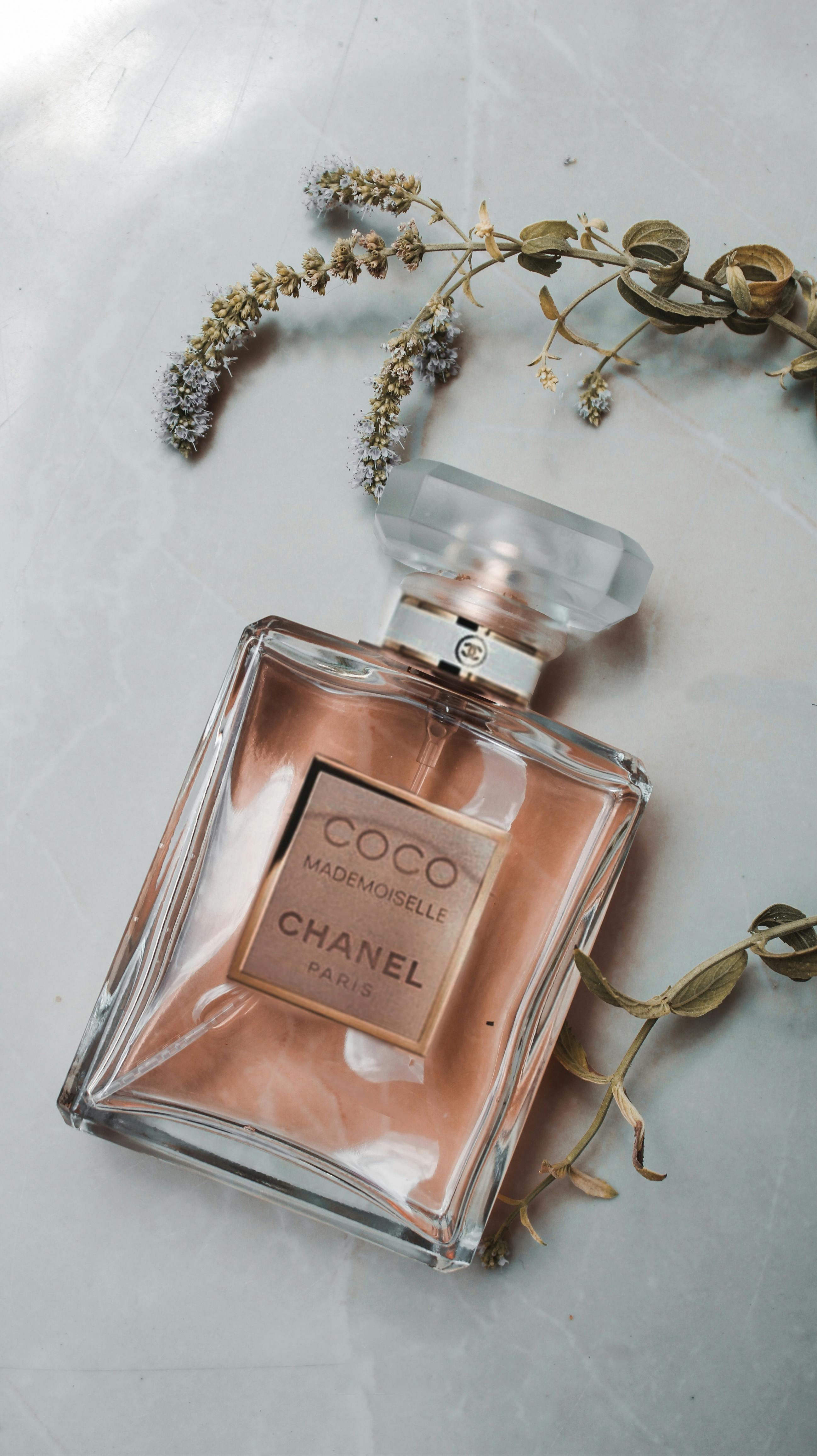 100 Perfume Pictures  Download Free Images on Unsplash