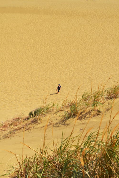 Základová fotografie zdarma na téma duna, osoba, písek
