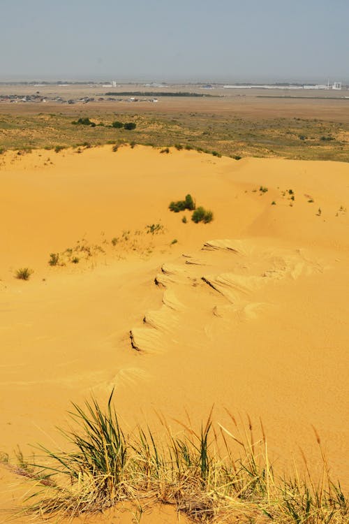 Grass on Sand