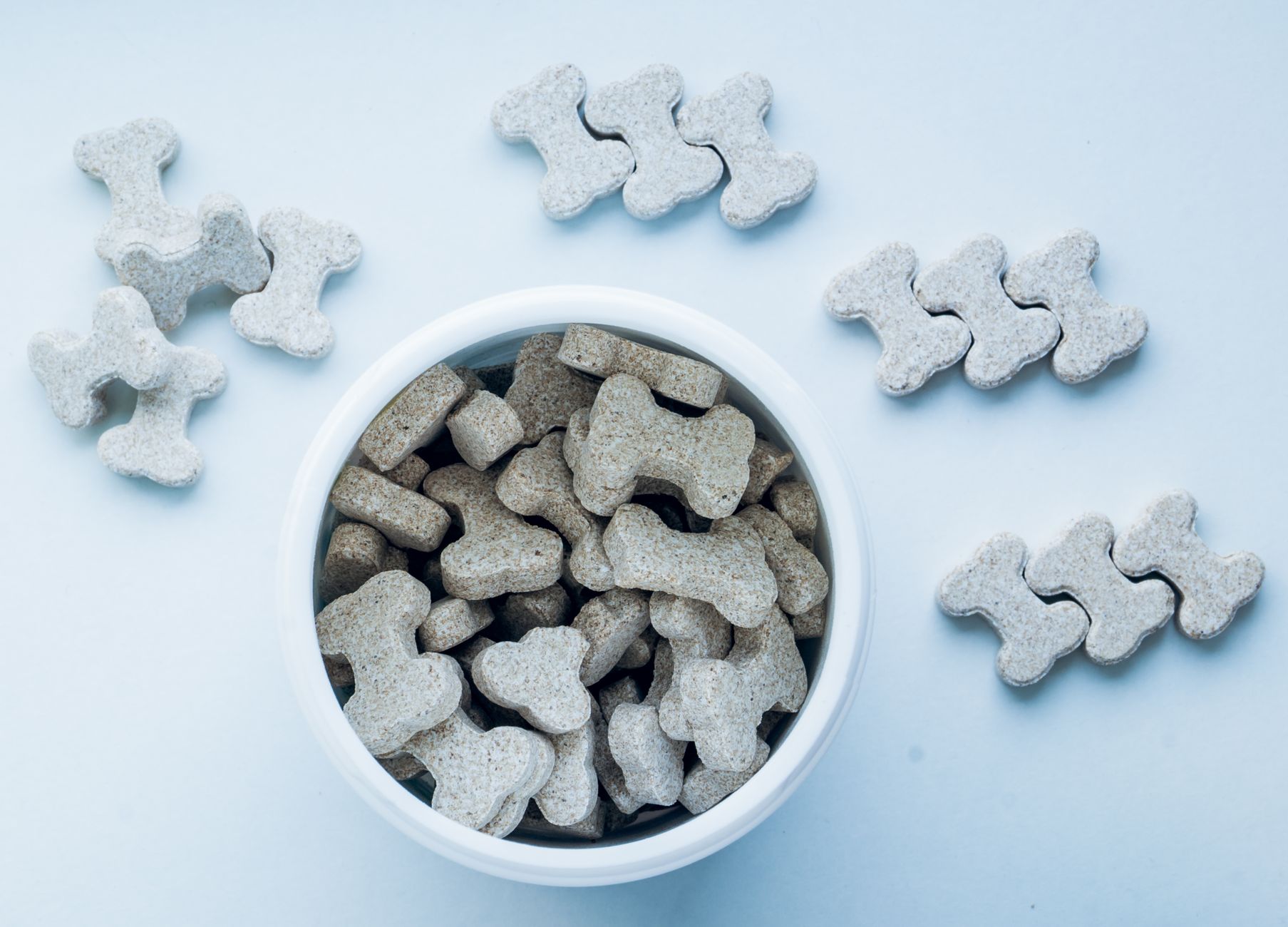 Best High-Fiber Dog Treats for Digestion (2026) – Expert-Recommended Snacks That Support Gut Health