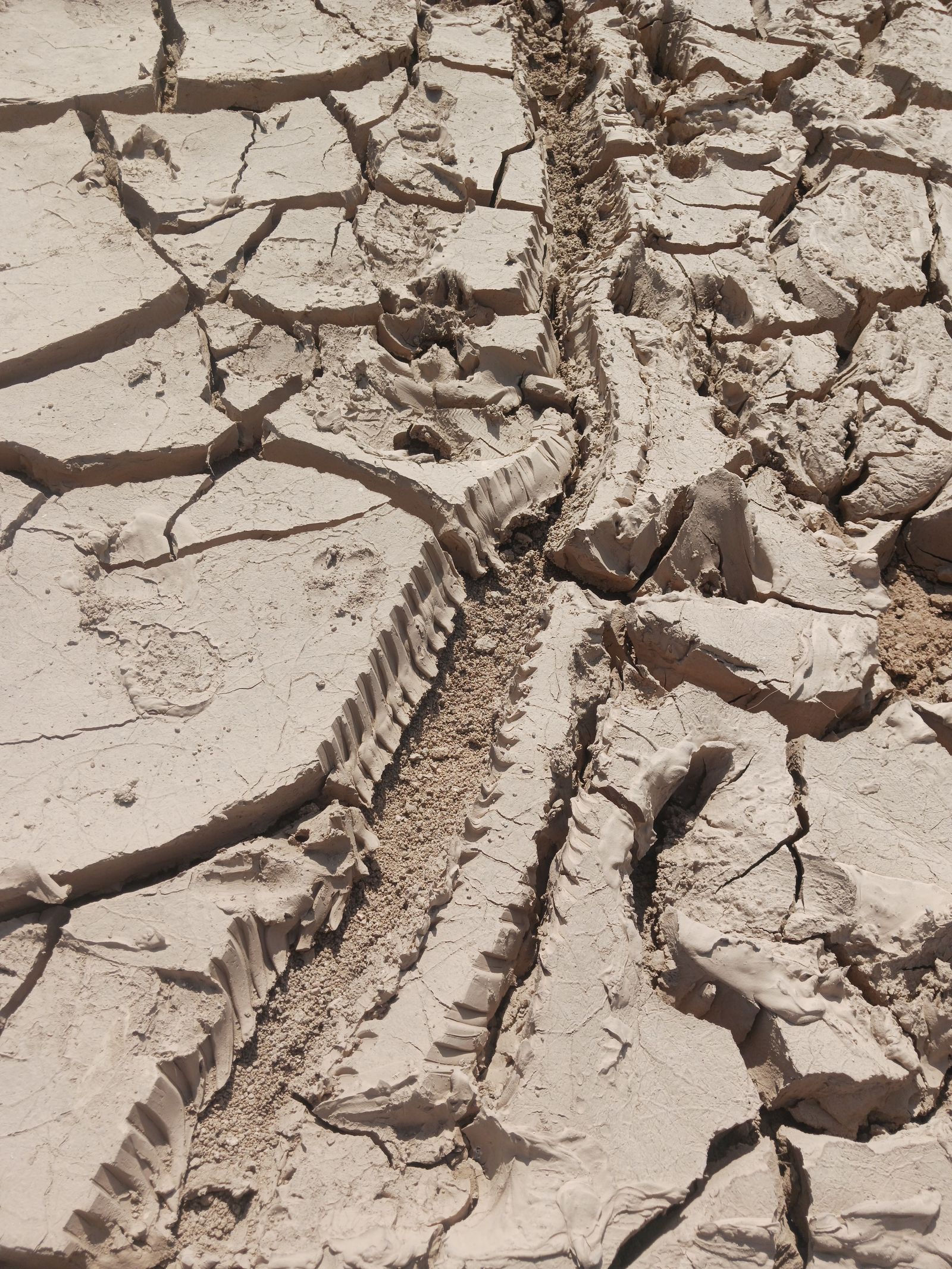 tire tracks in desert soil