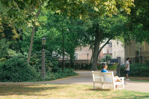 A Man Sitting on the Bench Under the Tree
