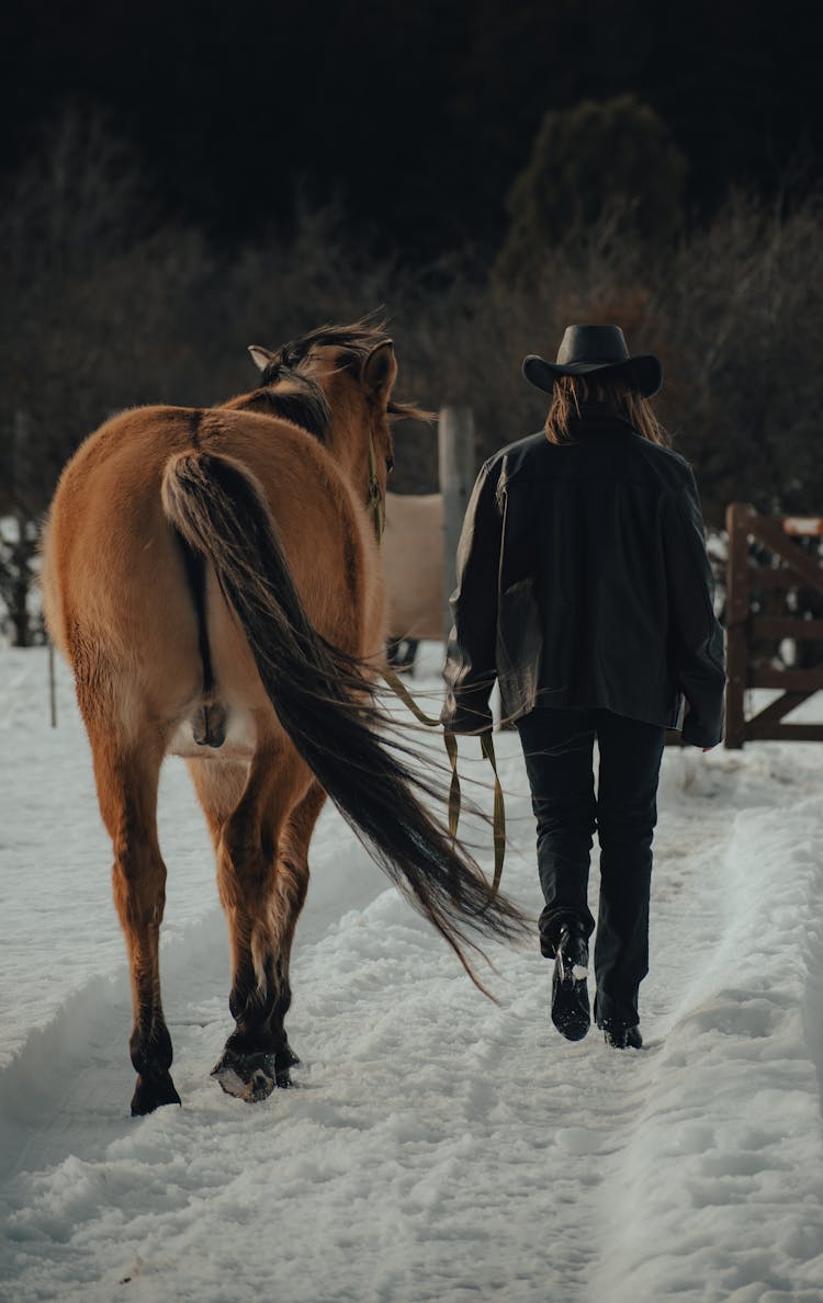 Woman Walking Outdoors With Her Horse In Winter 