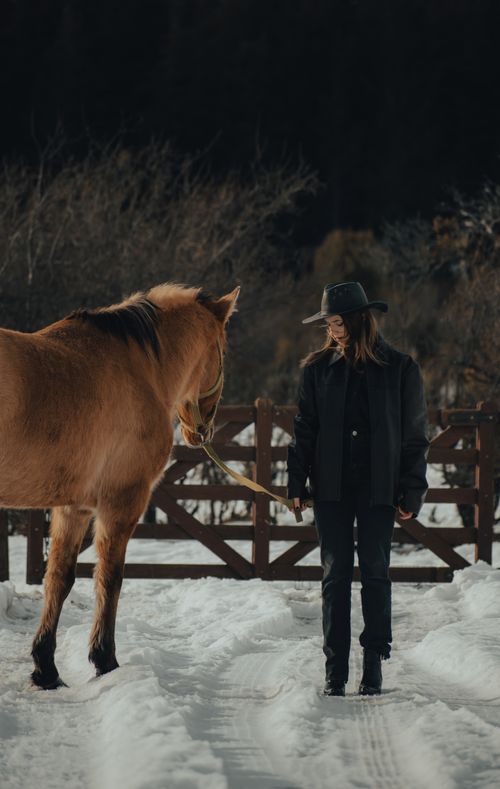 Free A woman dressed warmly interacts with a horse on a snowy farm setting. Stock Photo