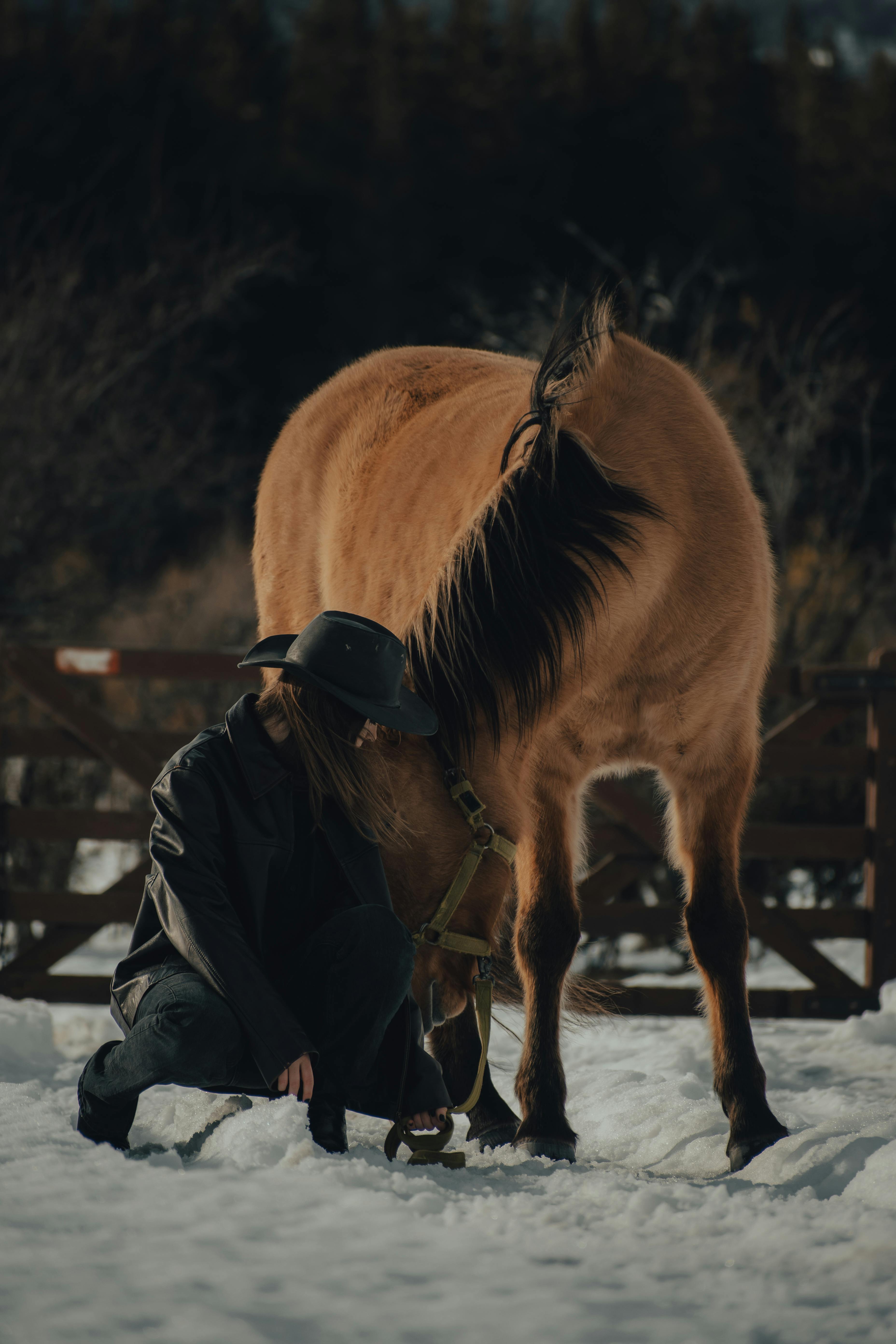 A person kneels with a horse in a snowy, winter setting, showcasing a strong bond and tranquility.