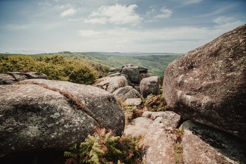 Free Panoramic view of rocky landscape with ferns and trees under a blue sky. Stock Photo