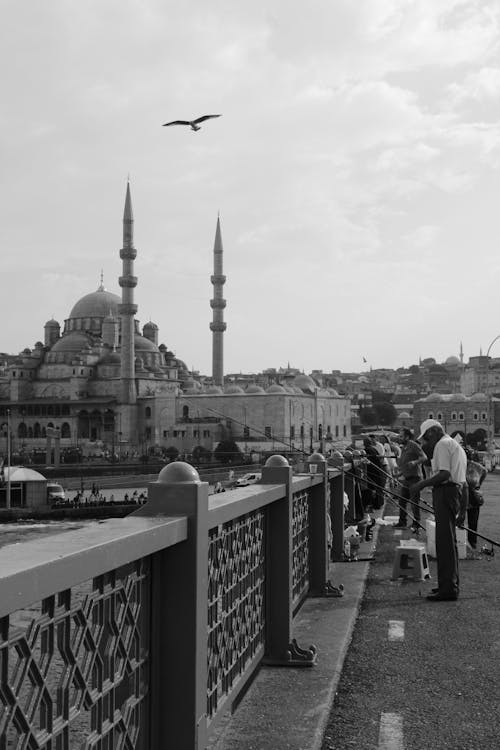 Základová fotografie zdarma na téma černobílý, islám, mešita