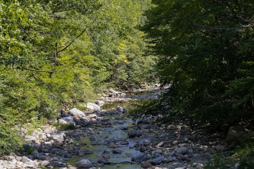 Ilmainen kuvapankkikuva tunnisteilla joki, kivet, luonto