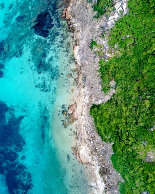 Rocks on Seashore Top View