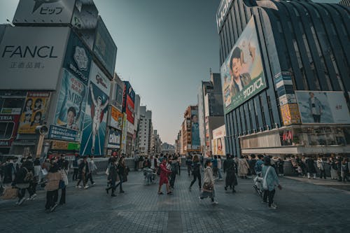 People Walking on the Stret