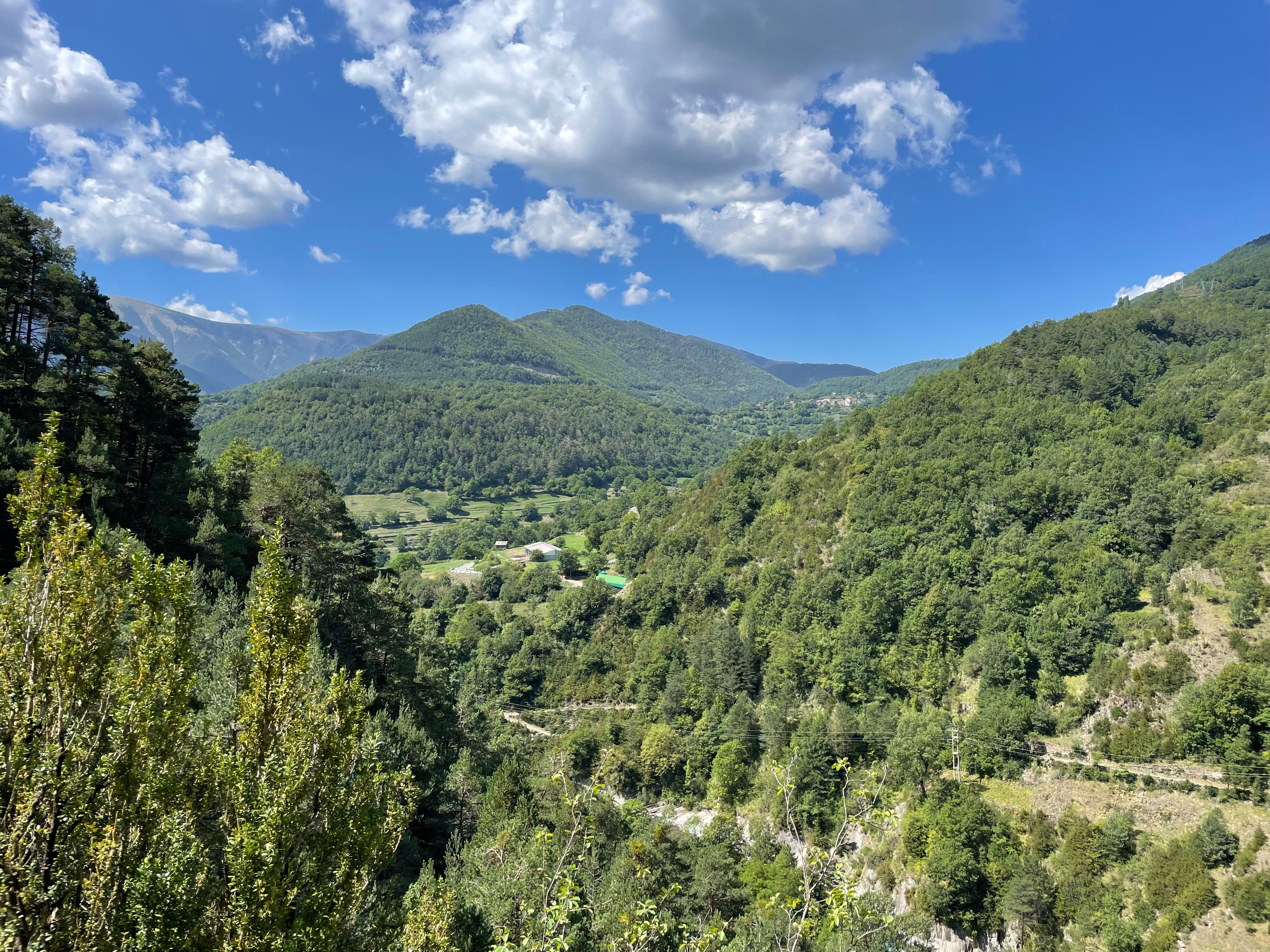 An Aerial Photography of Green Trees on Mountain Under the Blue Sky and ...