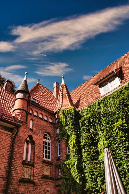 Free Stunning neo-gothic architecture castle with redbrick walls and lush green ivy under a blue sky. Stock Photo