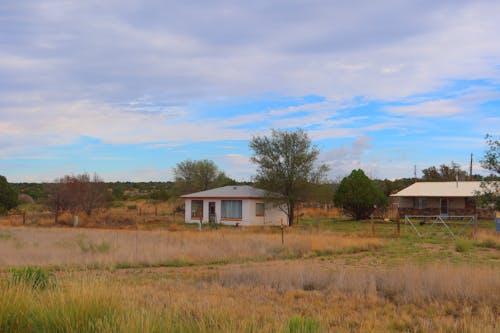 Gratis stockfoto met boerderij, gras, huizen