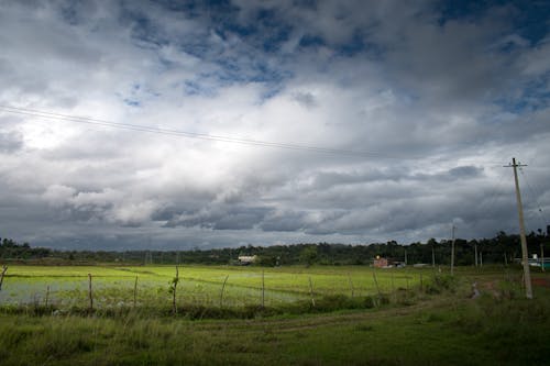 Fotobanka s bezplatnými fotkami na tému obloha pokrytá oblakmi, poľnohospodárska pôda, ryžové pole