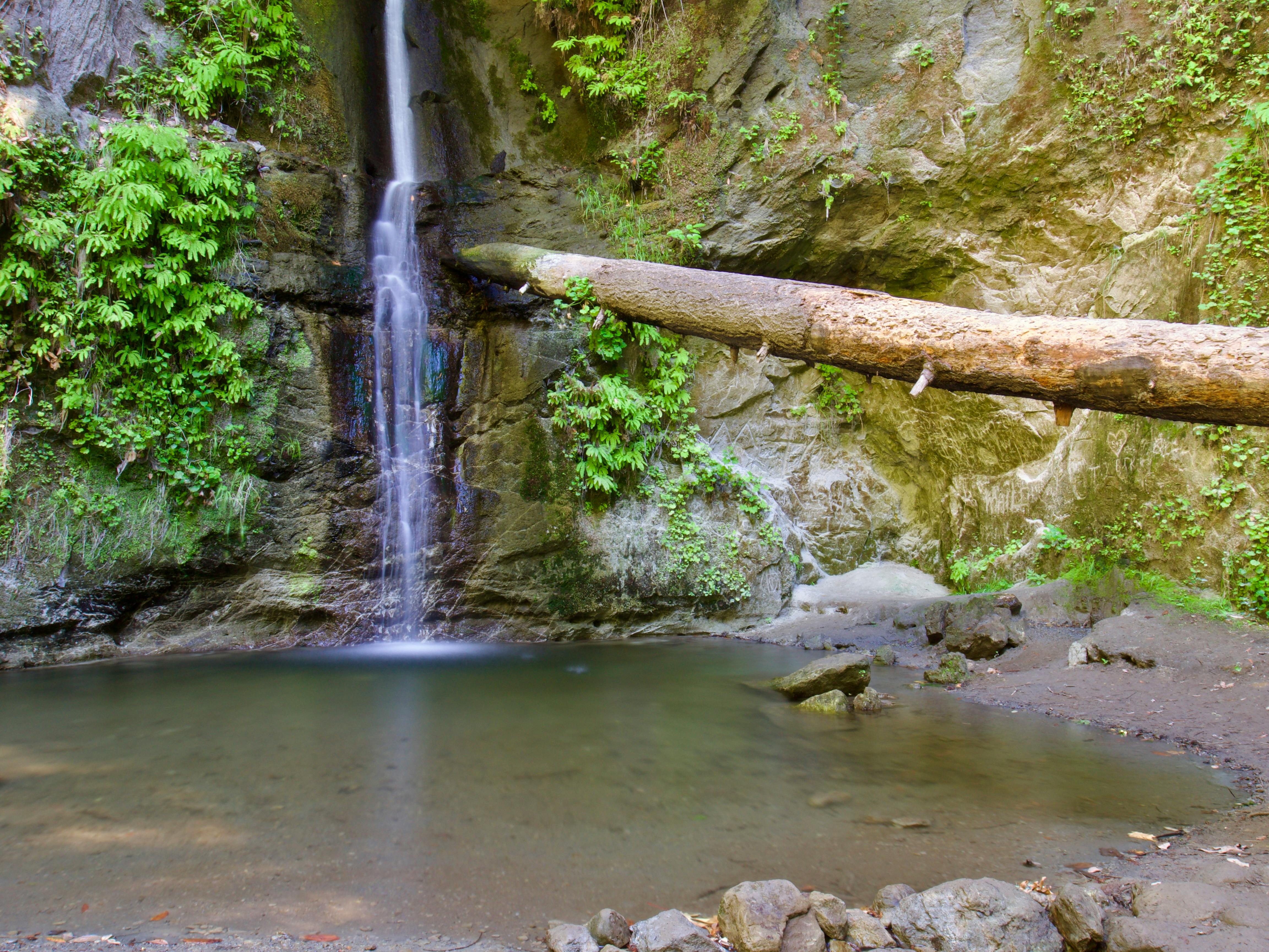 Maple Falls the Forest of Nisene Marks State Park California