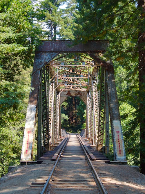 A Railroad Bridge Between Green Trees