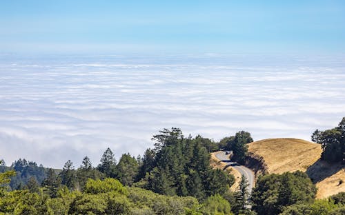 Gratuit Imagine de stoc gratuită din arbori, ceață, cer albastru Fotografie de stoc