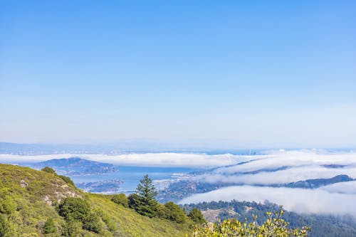 An Aerial Photography of Green Trees on Mountain Under the Blue Sky