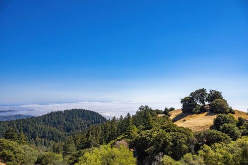 Free A scenic view of mountains, forest, and clear blue skies capturing the essence of nature. Stock Photo