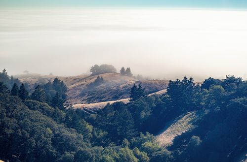 Free Breathtaking view of mountains and trees enveloped in rolling fog, perfect for nature enthusiasts. Stock Photo